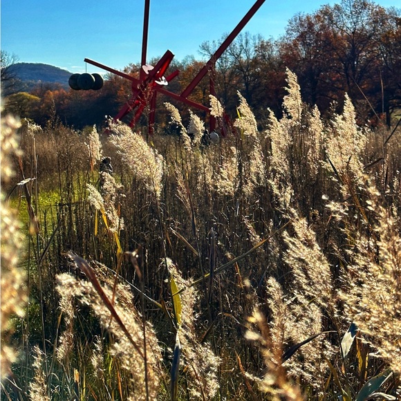 Louis Vuitton beautiful bag - Picture 10 of 10